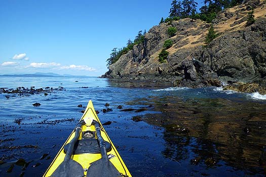 Kayaking along the west side of San Juan Island.