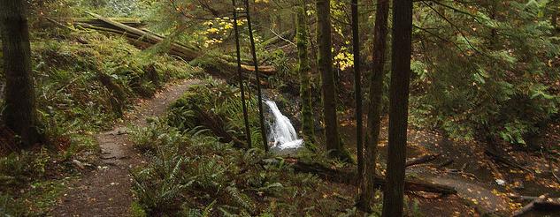 waterfall in Moran State Park