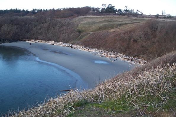 Grandmothers Cove San Juan Island