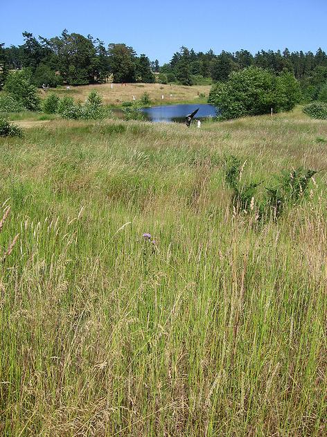 Westcott Bay Nature Reserve & Sculpture Park