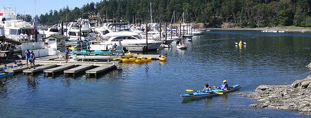 Sea Kayakers in nearby Roche Harbor