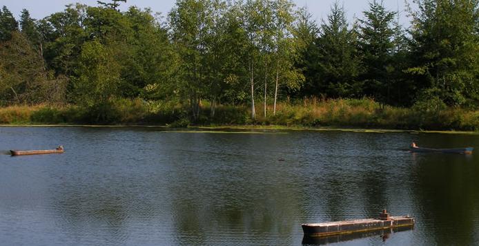 Westcott Bay Nature Reserve & Sculpture Park