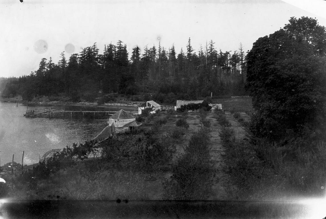 English Camp orchard. Photo courtesy of Roche Harbor