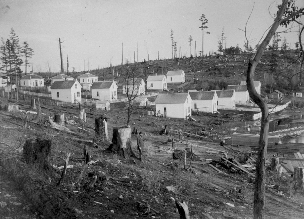 Roche Harbor Company cottages with tree stumps