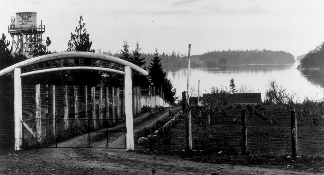 Bellevue Poultry Farm, Roche Harbor