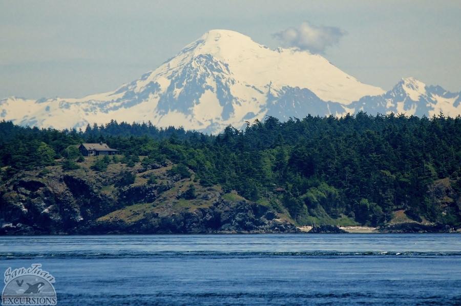 Mount Baker as seen from a whale watching tour in the San Juan Islands