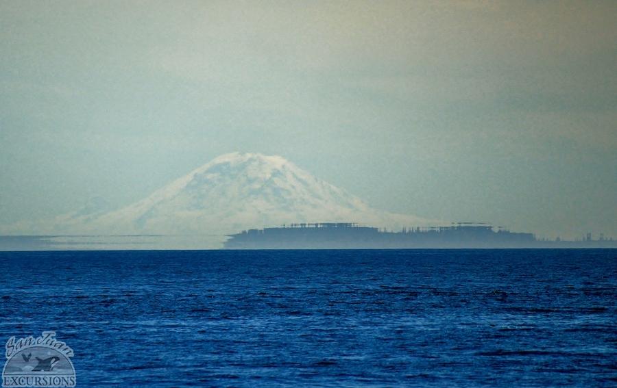 Mt Rainier as seen from the San Juan Islands