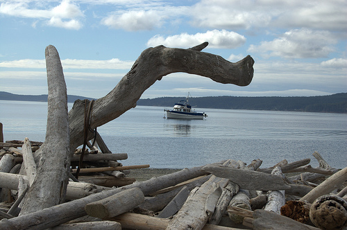 Driftwood and a power boat anchored Just off of Spencer Spit State Park, Lopez Island.