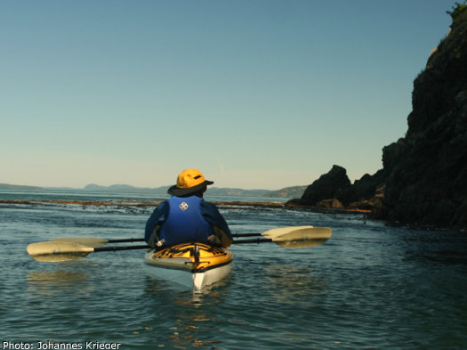 There is much to see on the rocks and just underwater... just keep paddling to change the view!