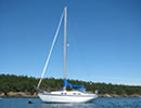 Private Whale Watching Yacht Charters in the San Juan Islands