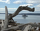 Lopez Island's Spencer Spit