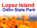 Lopez Island Odlin State Park