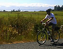 Bicycling On Lopez Island